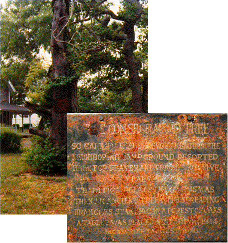 The Consecrated Tree and a close-up of the plaque